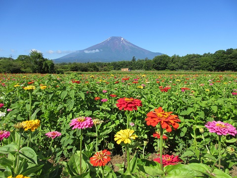 2017/07/15の写真