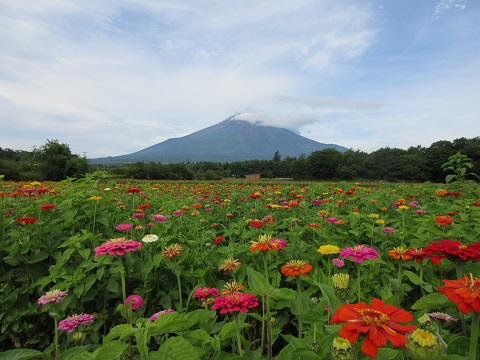 2017/07/17の写真