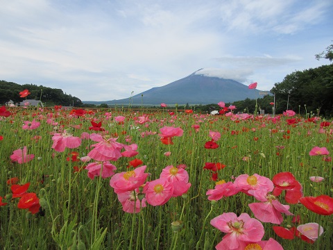 2017/07/17の写真