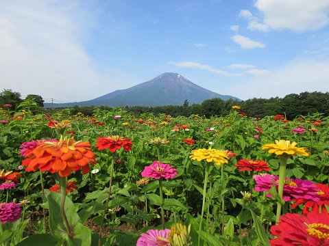 2017/07/18の写真