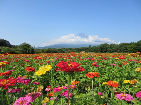 2017/07/20の写真