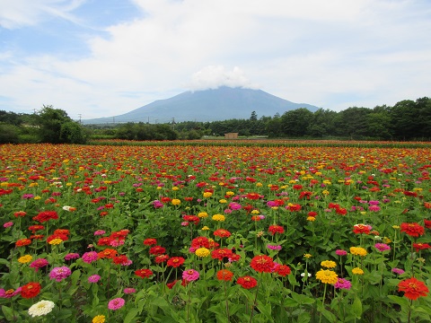 2017/07/22の写真