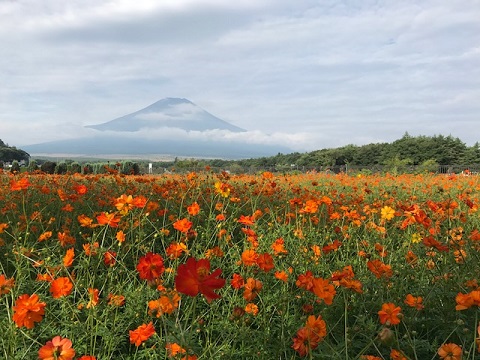 2017/08/28の写真