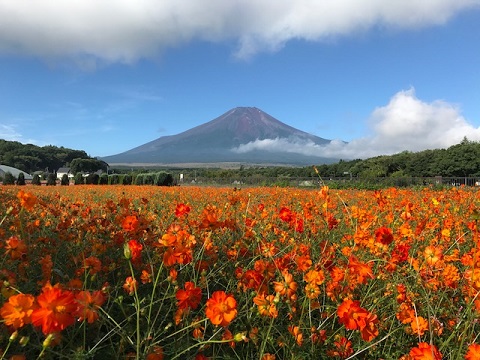 2017/08/31の写真