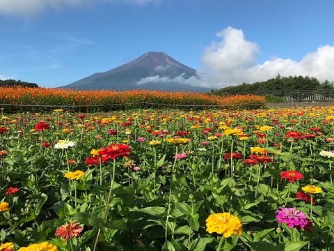 2017/08/31の写真