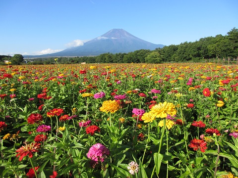 2017/09/03の写真