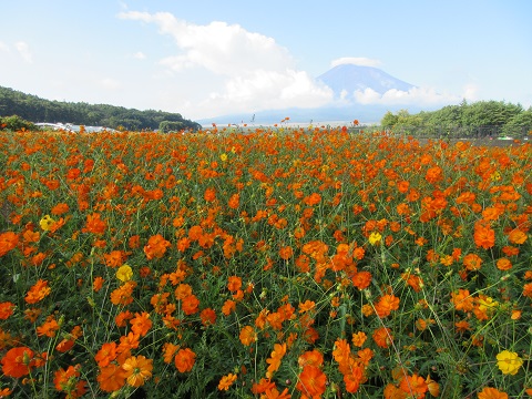 2017/09/10の写真