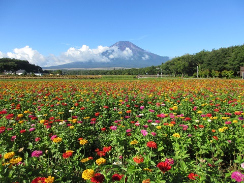 2017/09/13の写真