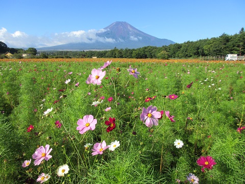 2017/09/13の写真