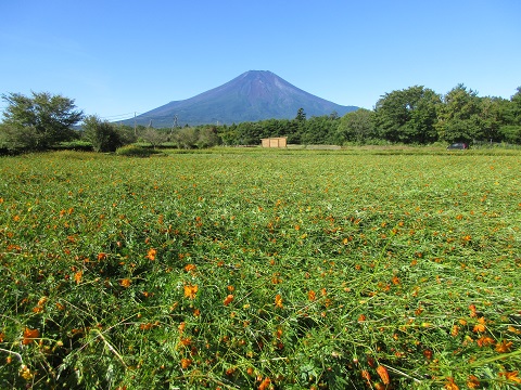 2017/09/18の写真