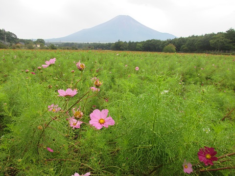 2017/09/20の写真