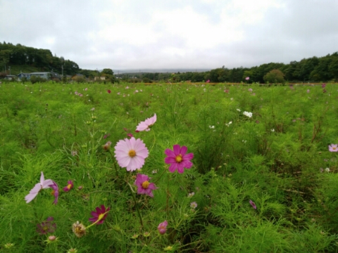 2017/09/23の写真