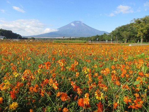 2017/10/01の写真