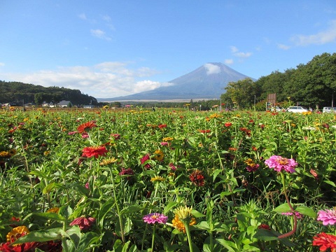 2017/10/01の写真