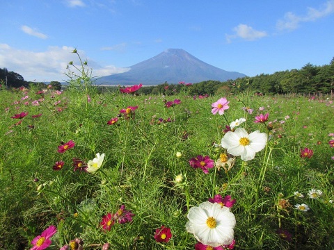 2017/10/01の写真