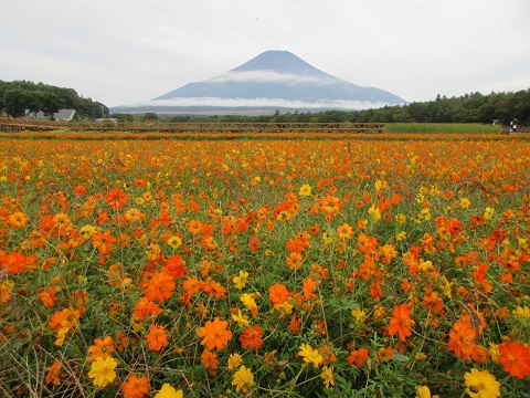 2017/10/05の写真