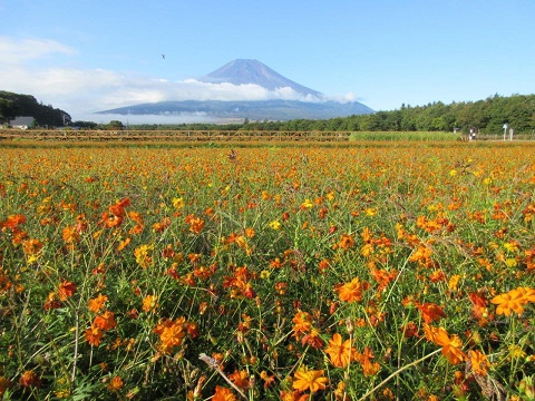 2017/10/08の写真