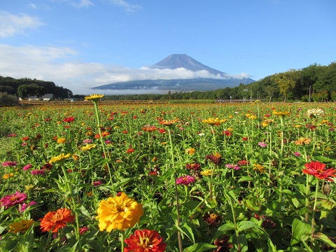 2017/10/08の写真