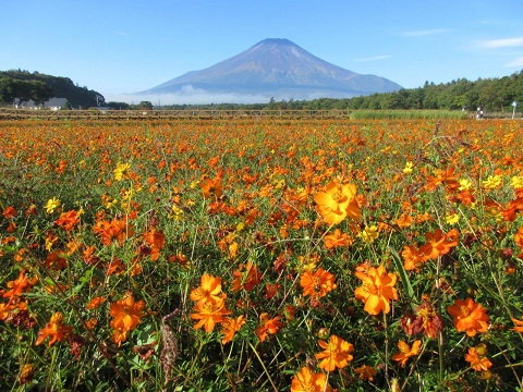 2017/10/11の写真