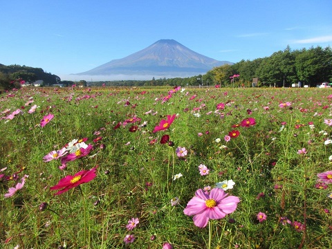 2017/10/11の写真