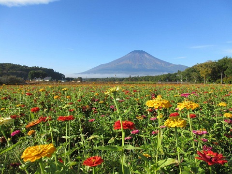 2017/10/11の写真