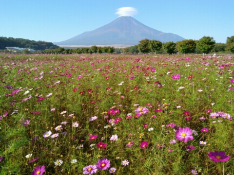 2017/10/12の写真