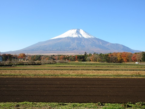 2017/11/09の写真