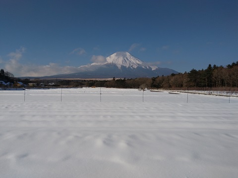 2018/02/09の写真