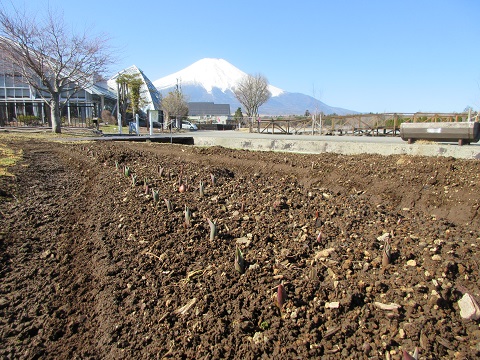 2018/03/14の写真