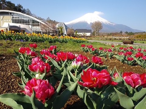 2018/04/20の写真