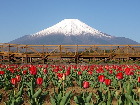 2018/04/22の写真