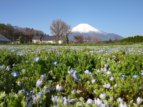 2018/04/22の写真