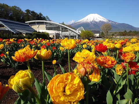 2018/04/26の写真