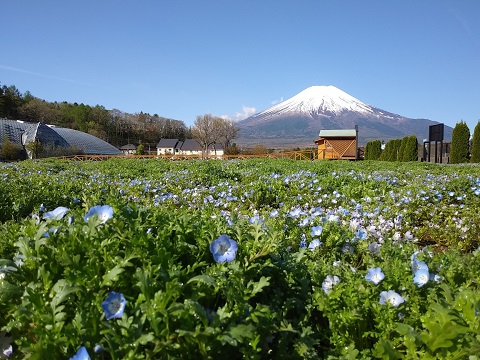 2018/04/26の写真