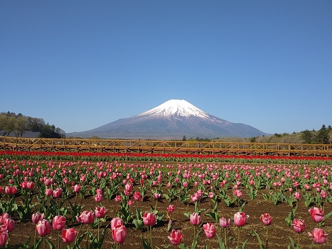 2018/04/28の写真
