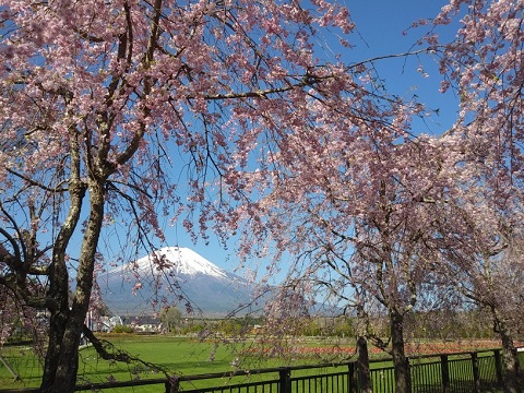 2018/04/28の写真