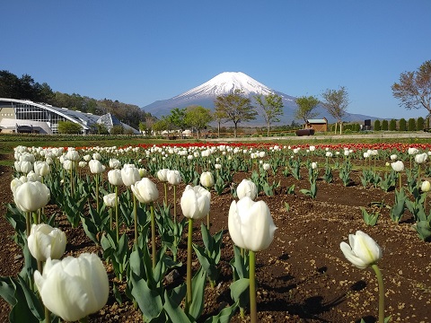 2018/04/28の写真