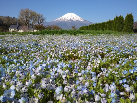 2018/04/28の写真