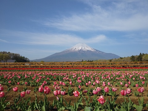 2018/04/30の写真