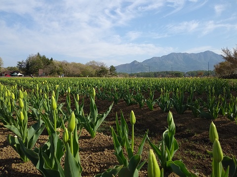 2018/04/30の写真