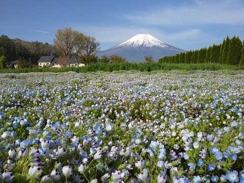 2018/04/30の写真