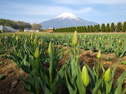 2018/04/30の写真