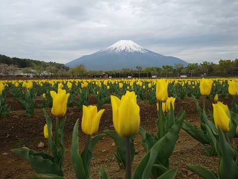 2018/05/02の写真