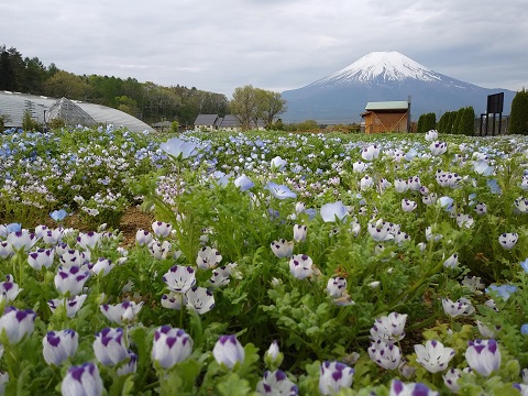 2018/05/02の写真