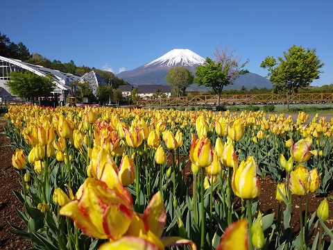 2018/05/04の写真