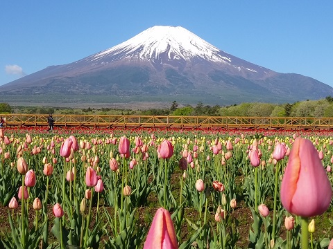 2018/05/04の写真