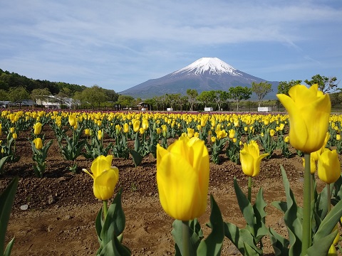 2018/05/06の写真