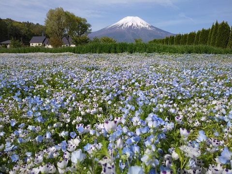 2018/05/06の写真