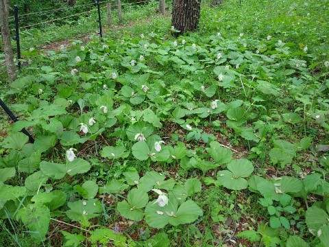 2018/05/10の写真