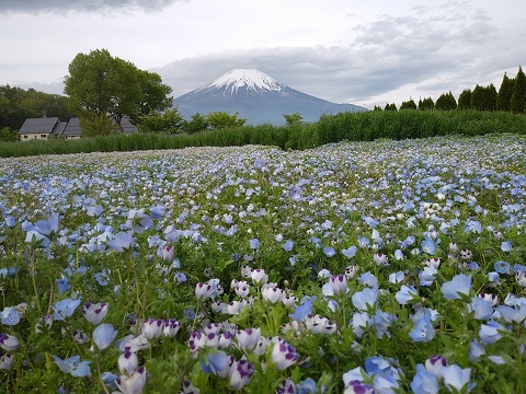 2018/05/13の写真